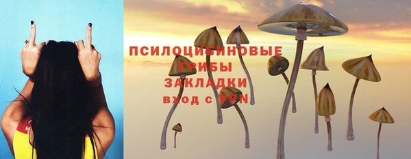 гидропоника Надым