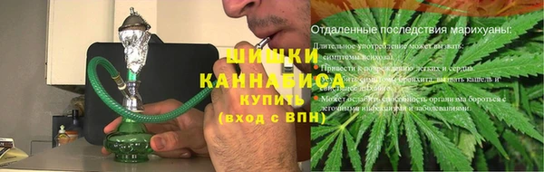 кокс Гатчина