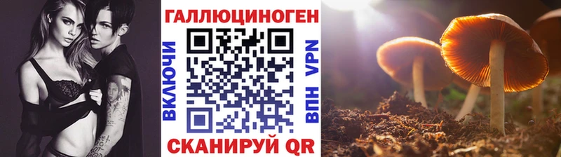 Псилоцибиновые грибы прущие грибы  Певек 